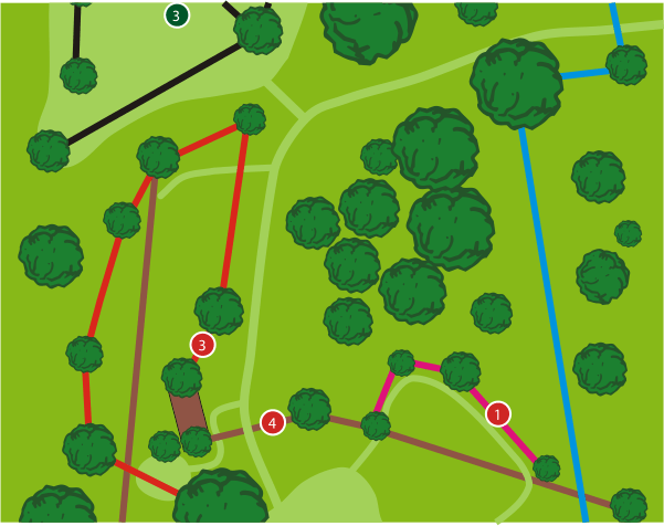 Grafik mit der Darstellung der Parcours des Seatree Kletterparks